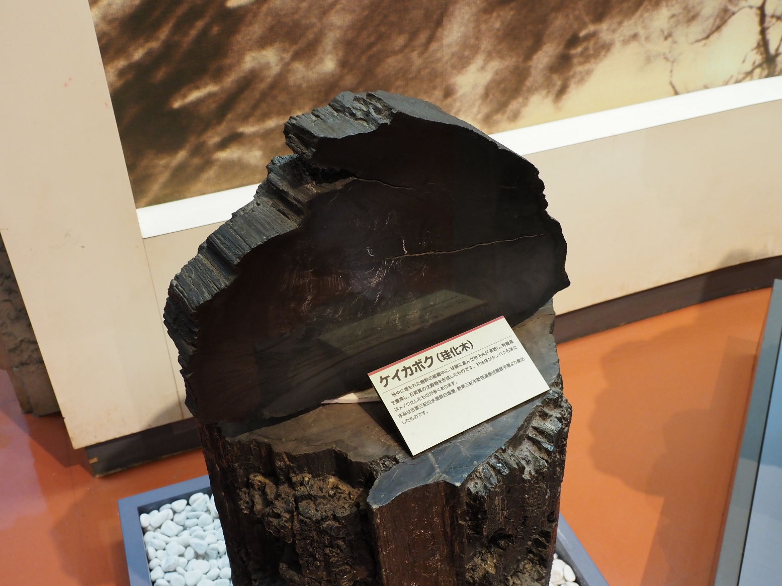 PA310211.jpg