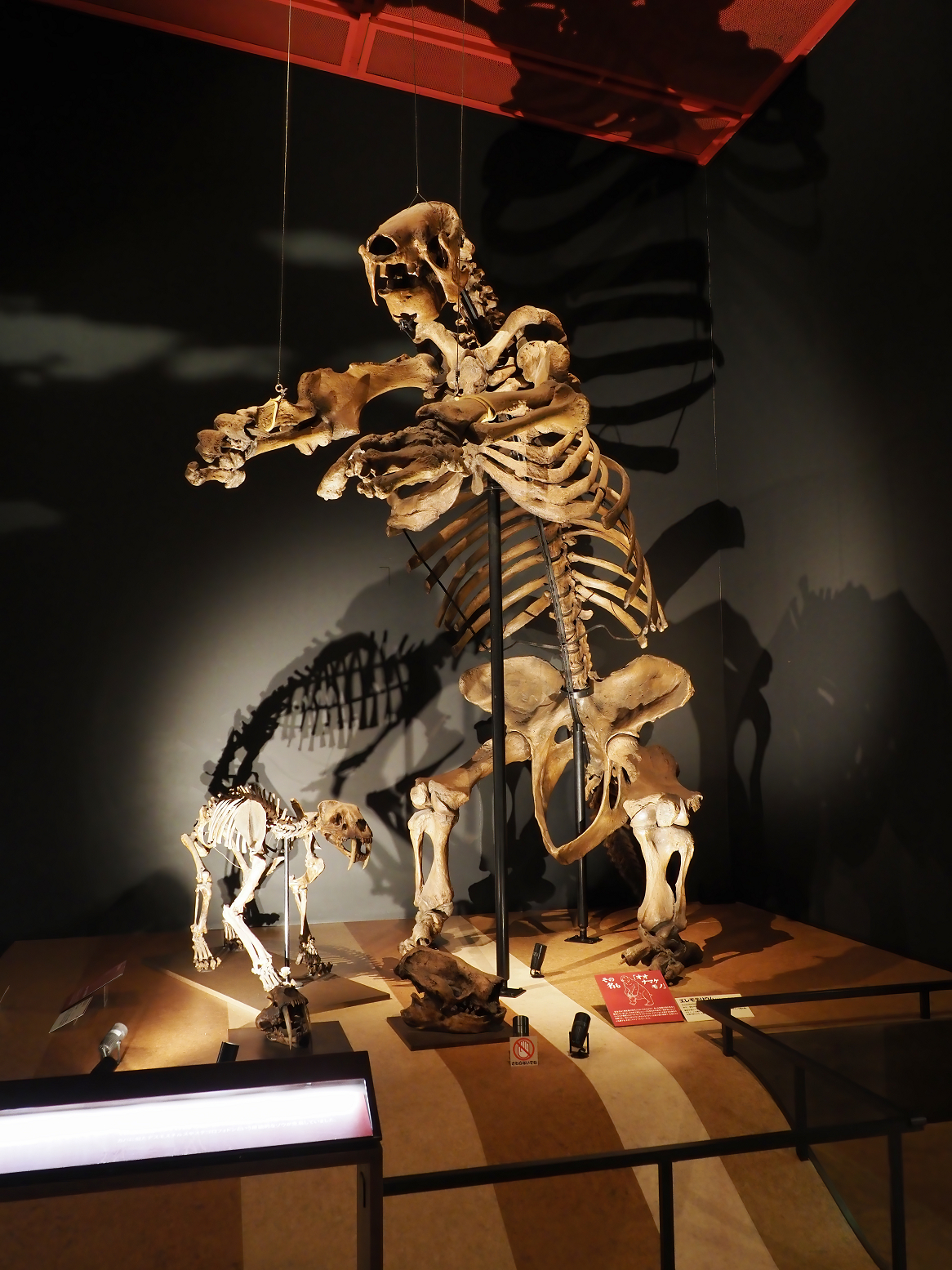 PA310215.jpg