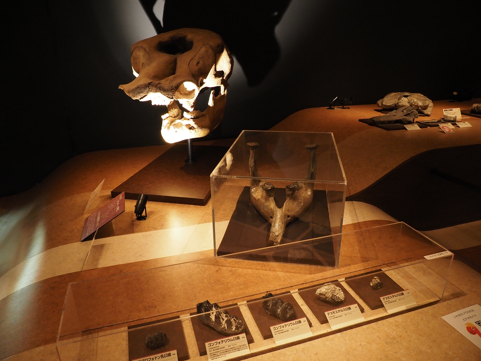 PA310217.jpg