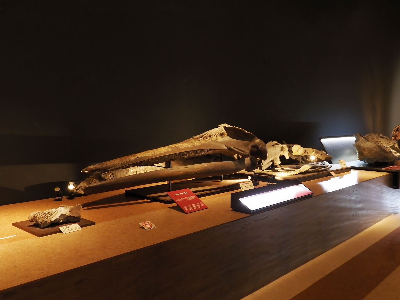 PA310218.jpg