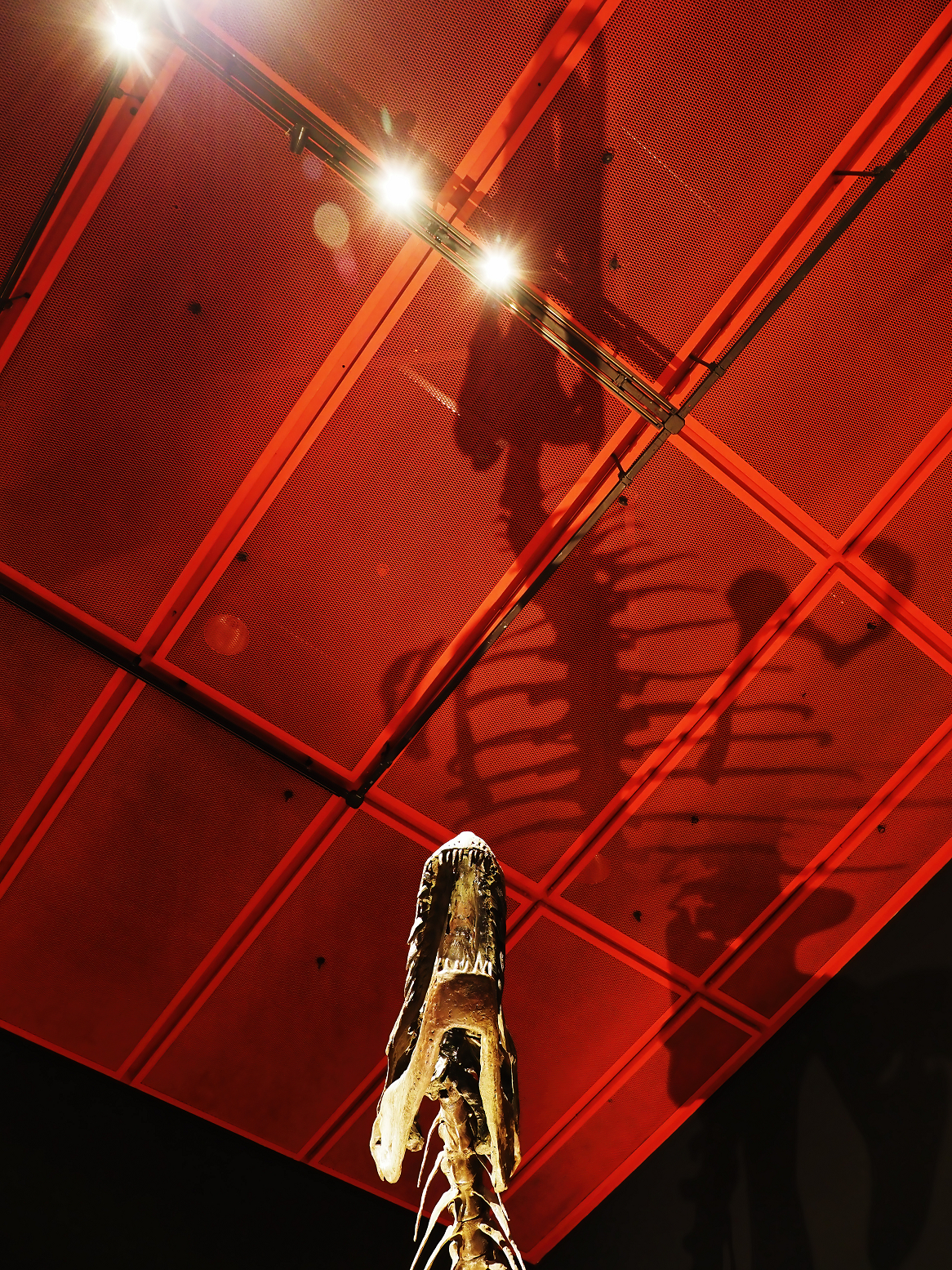 PA310224.jpg
