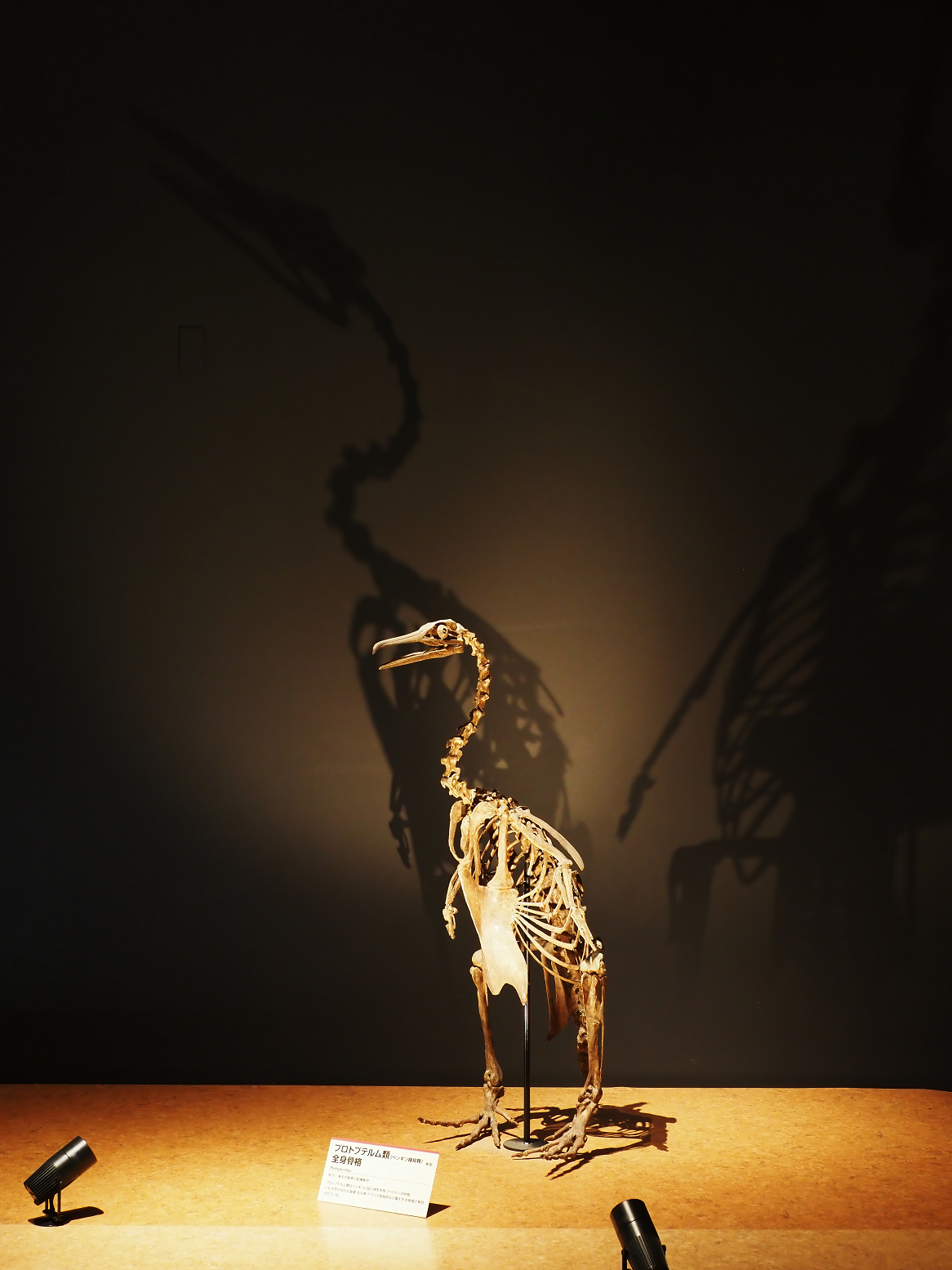 PA310225.jpg