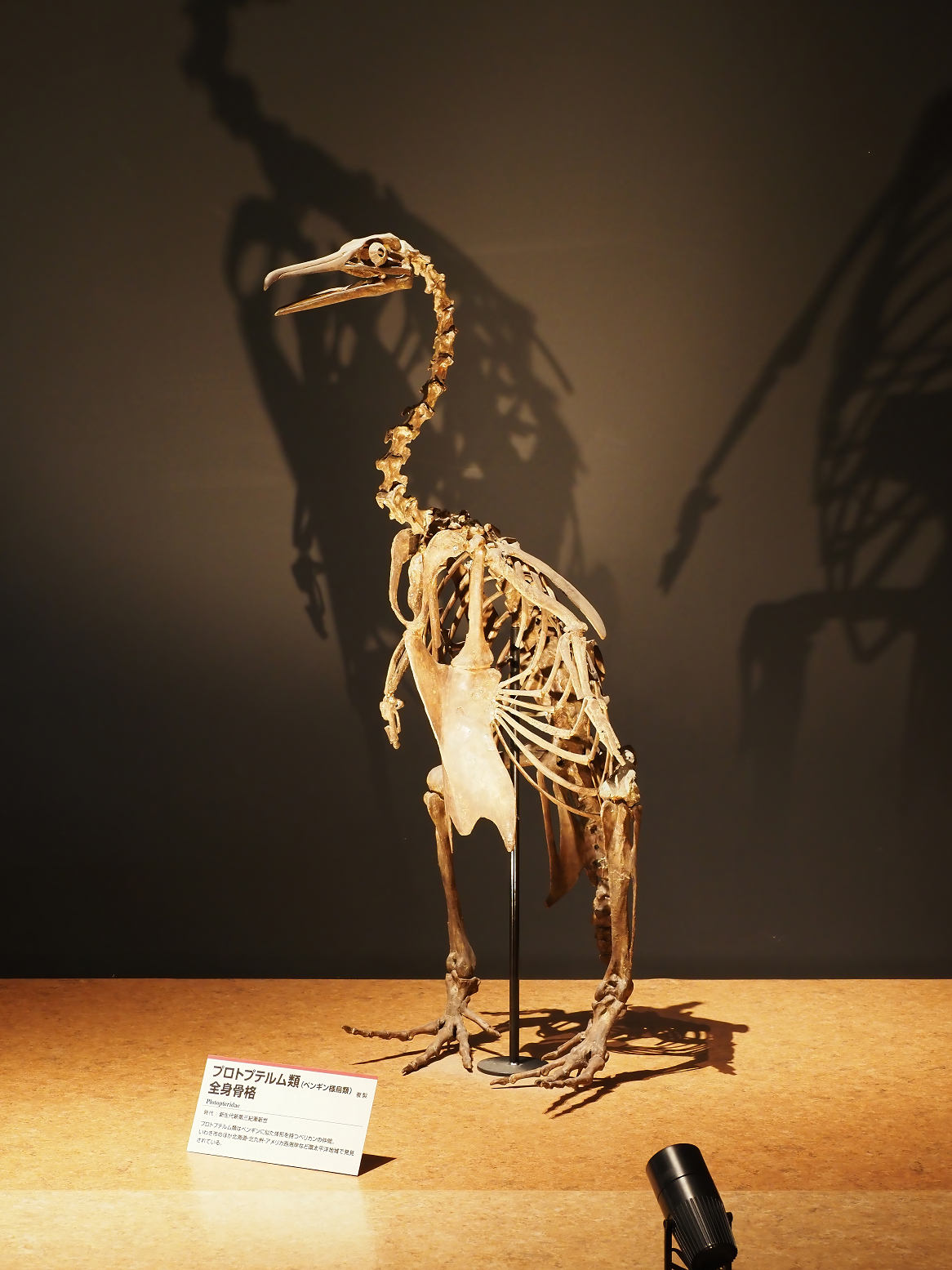 PA310226.jpg