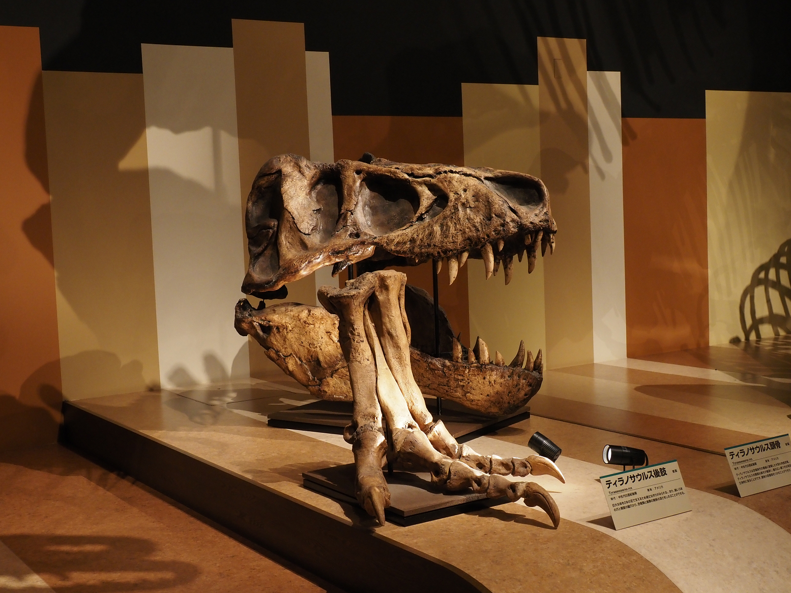 PA310228.jpg