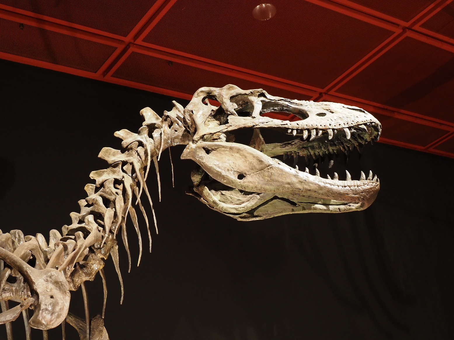 PA310229.jpg