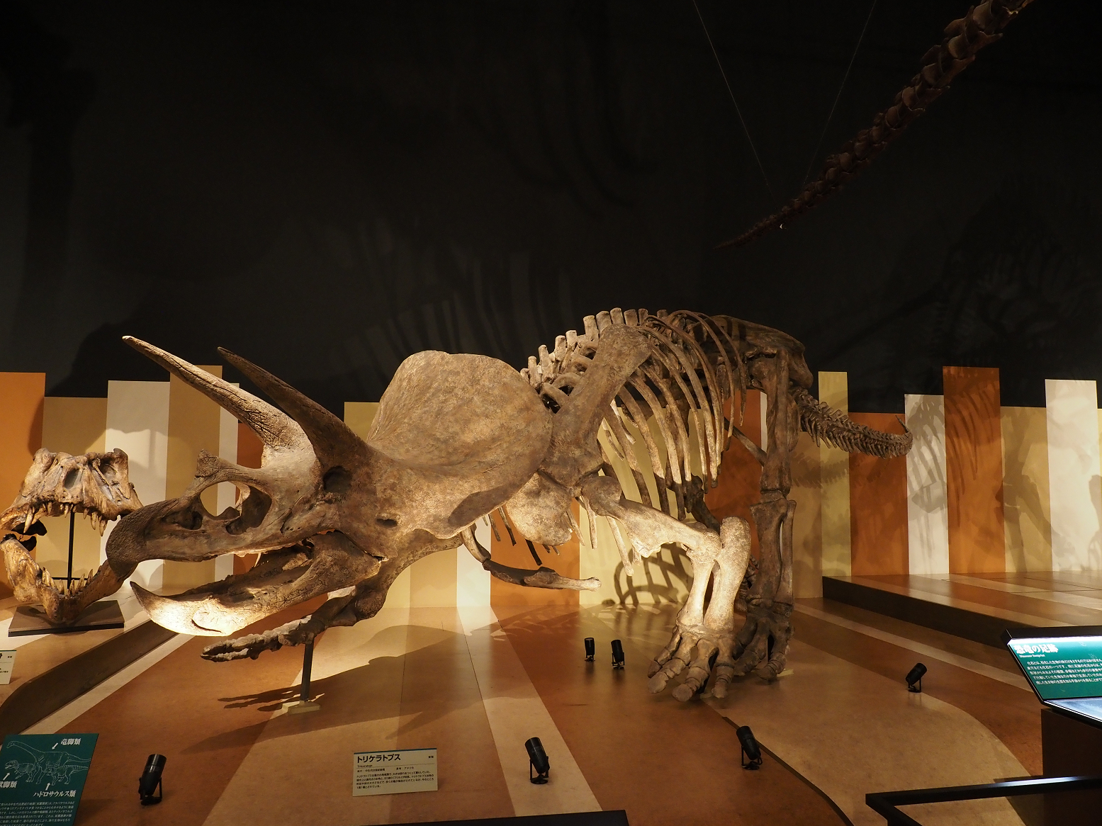 PA310230.jpg
