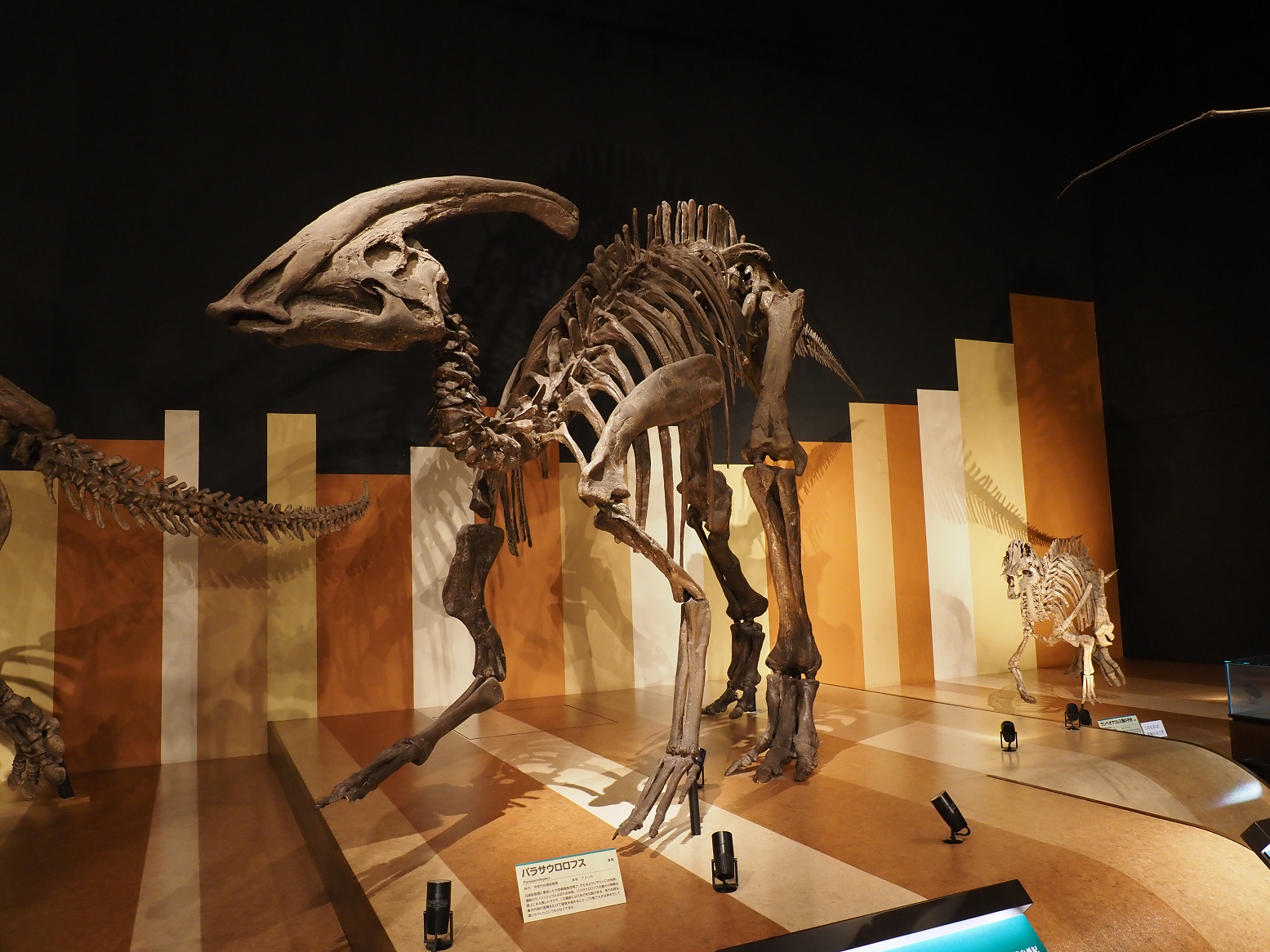 PA310231.jpg