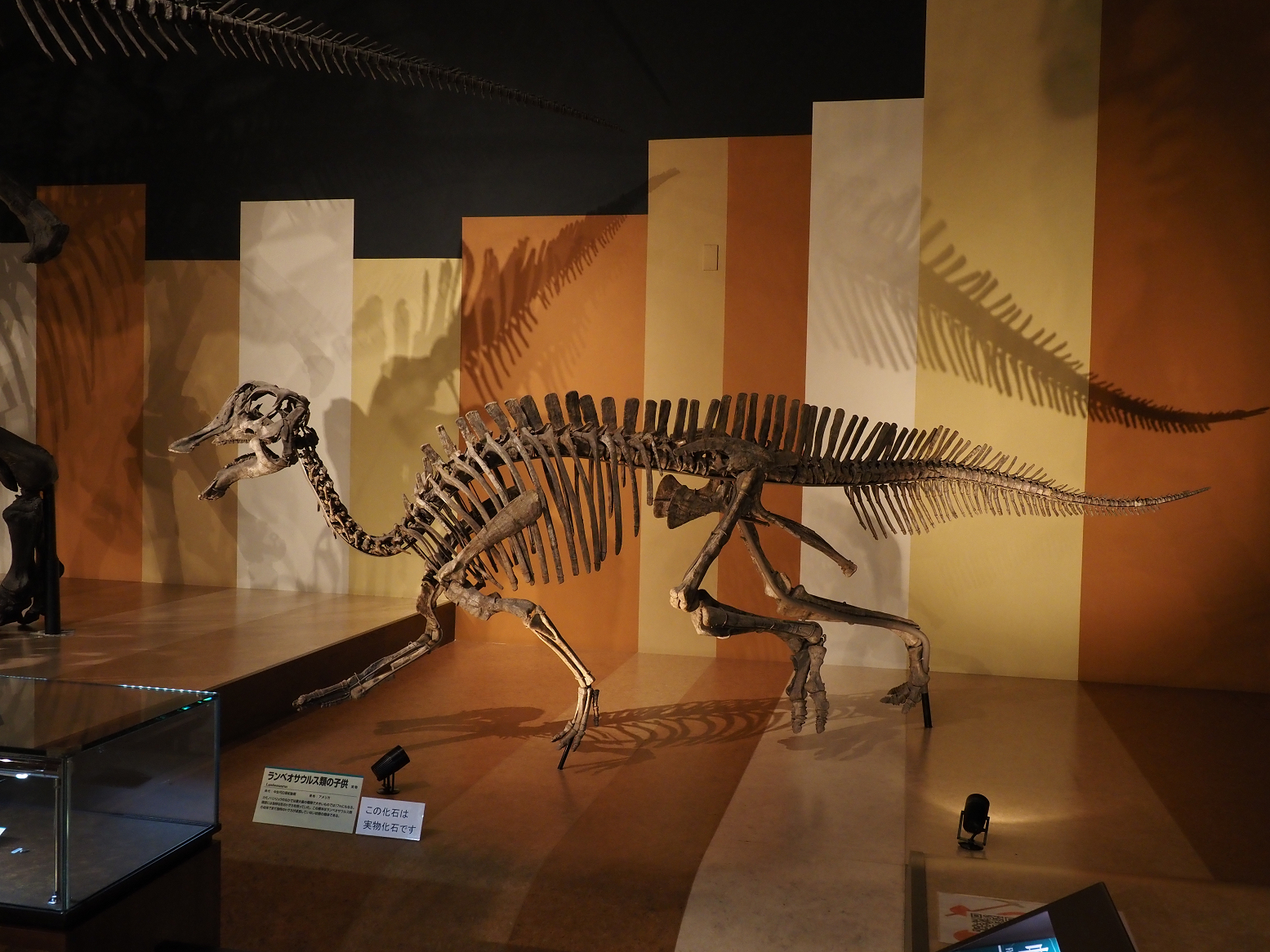 PA310232.jpg