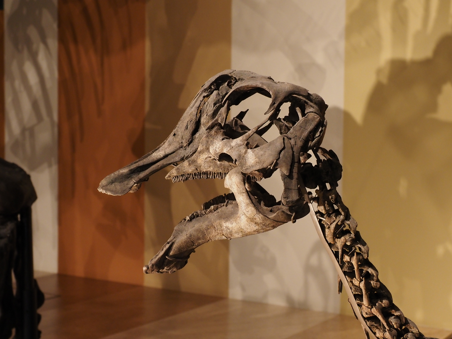 PA310233.jpg