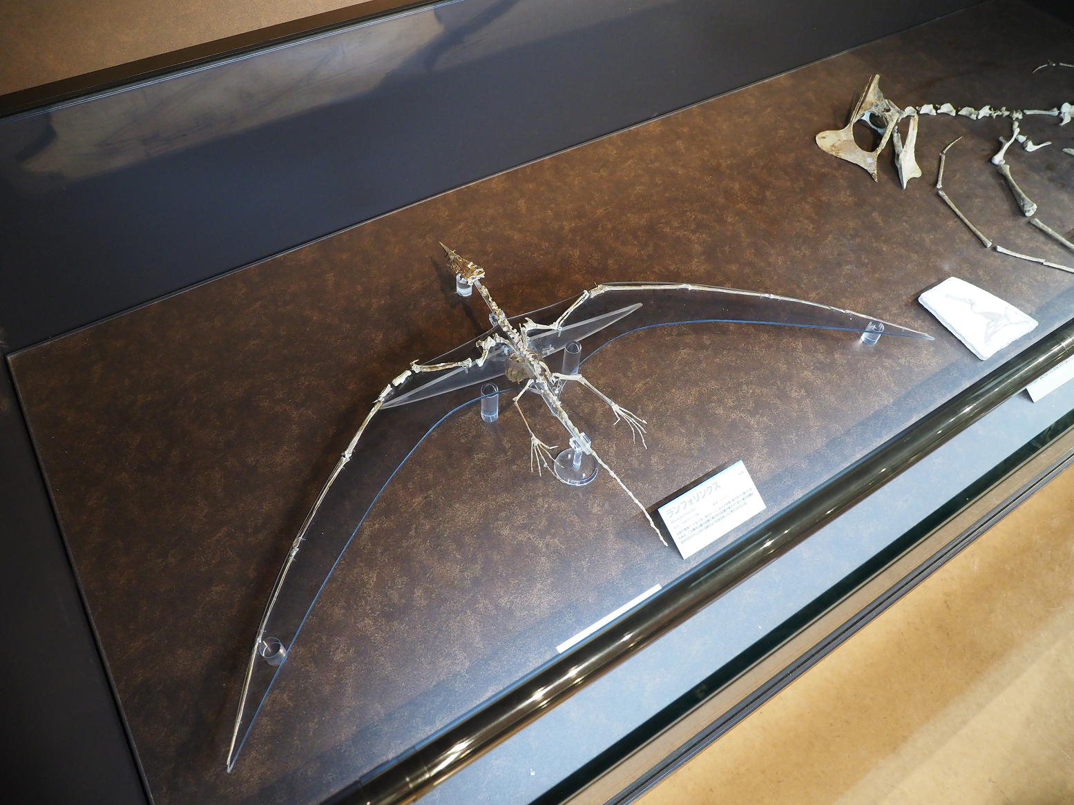 PA310234.jpg