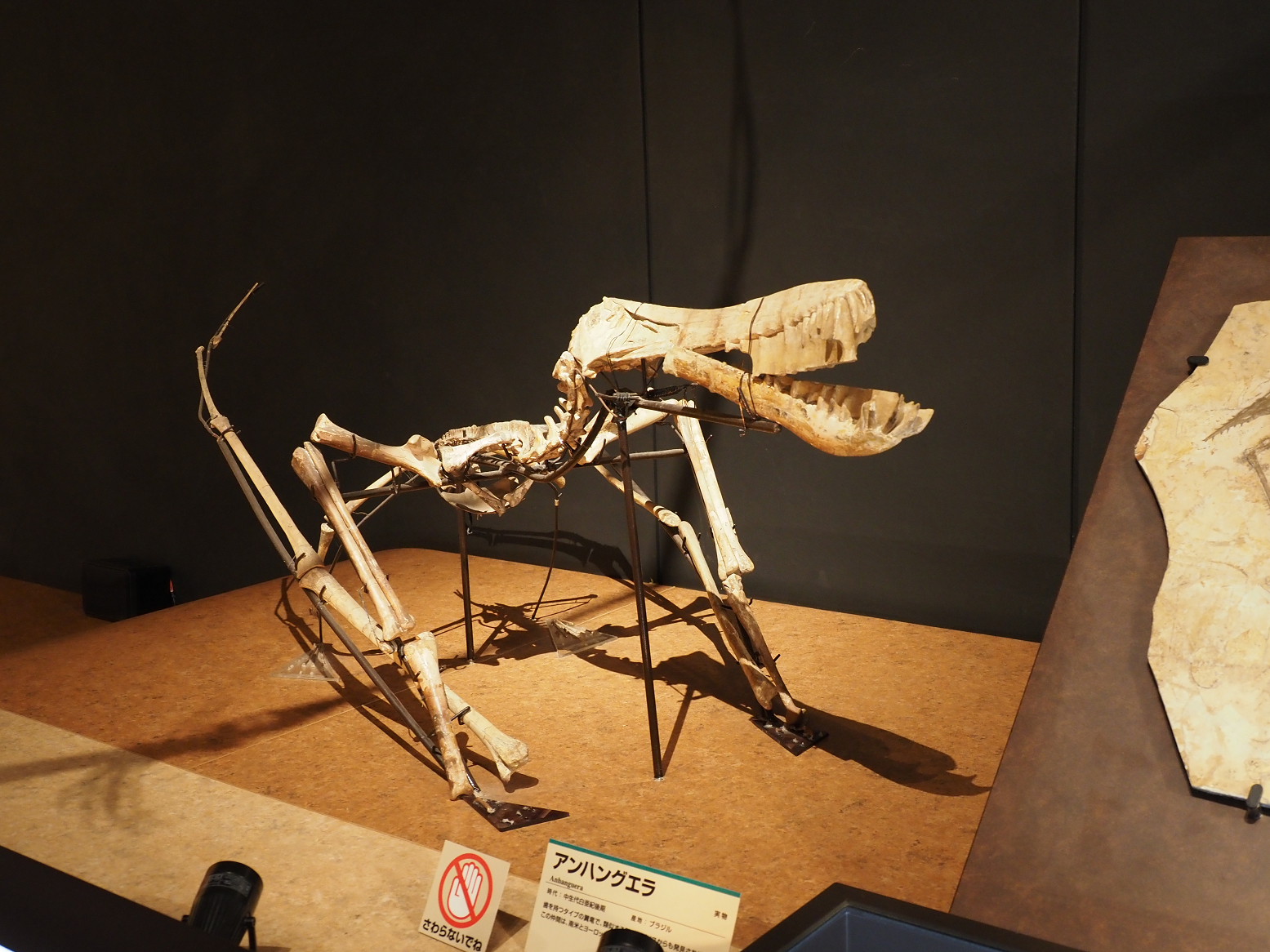 PA310235.jpg