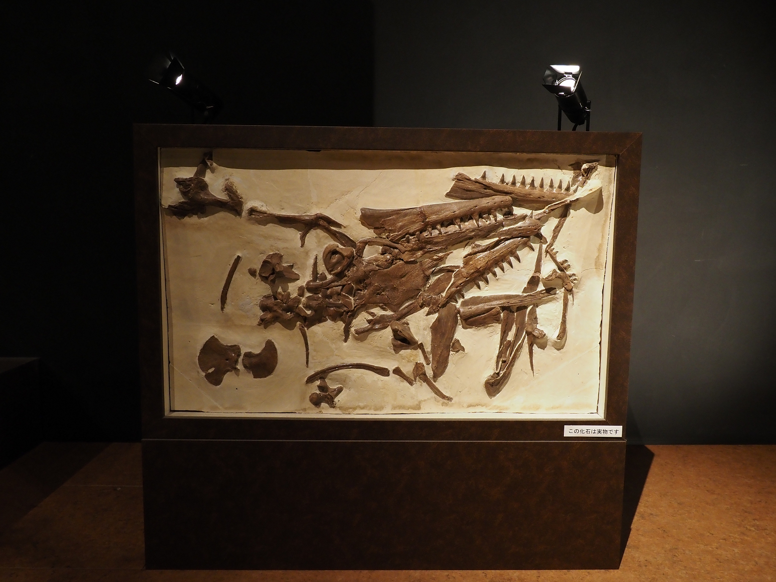 PA310237.jpg