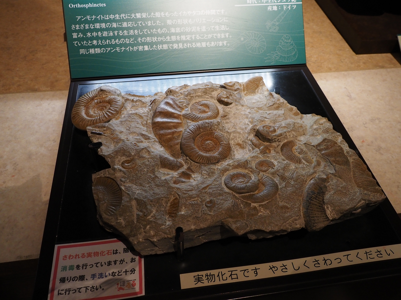 PA310238.jpg