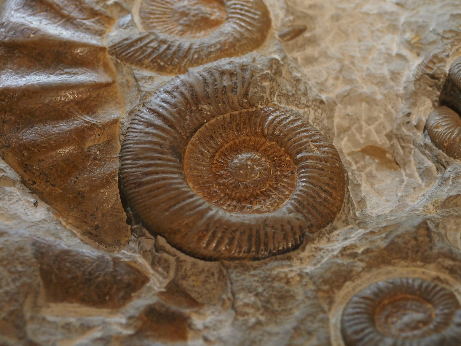 PA310239.jpg