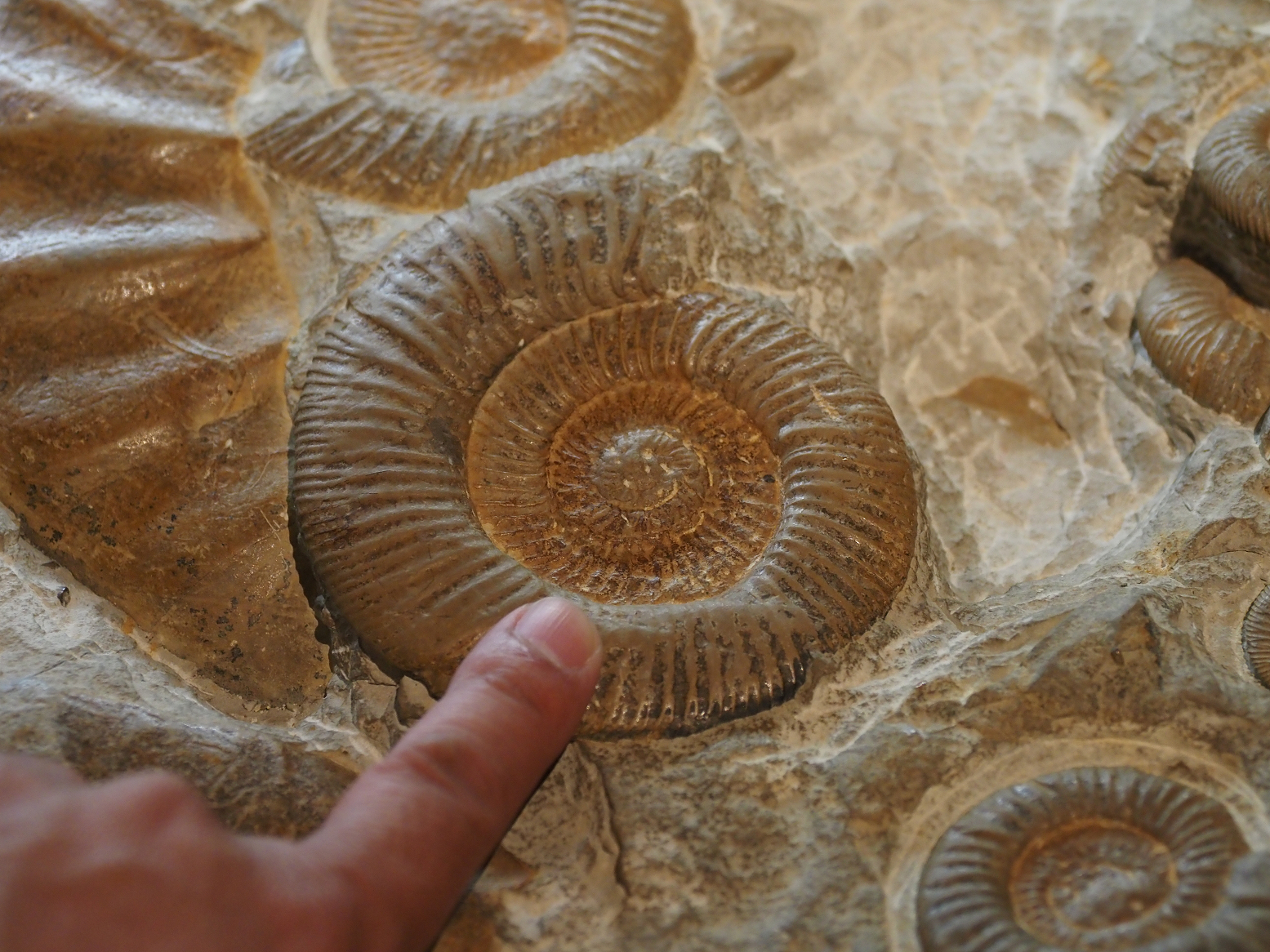 PA310240.jpg