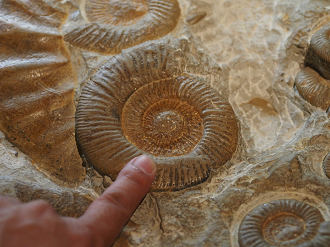 PA310240_thumb.png