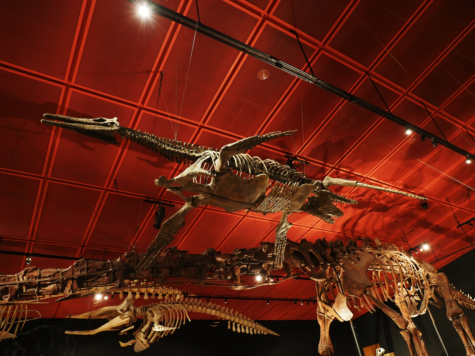 PA310242.jpg