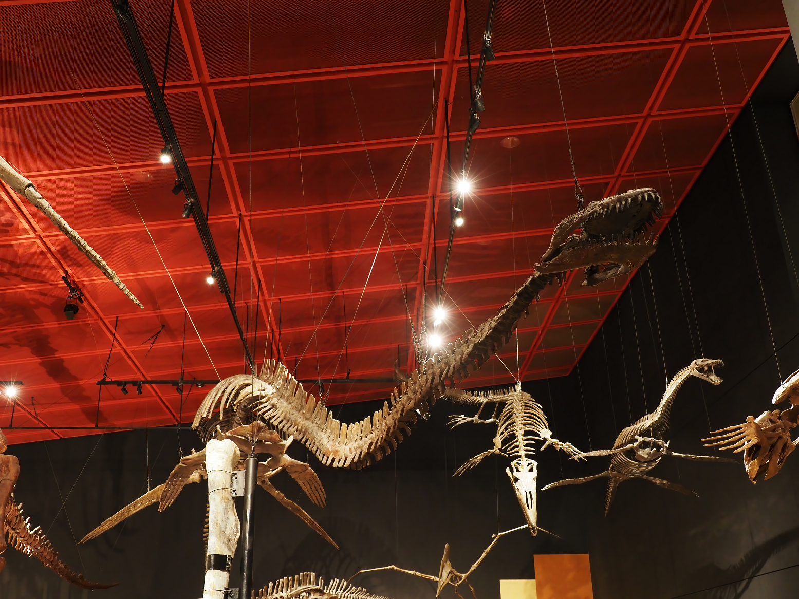 PA310244.jpg
