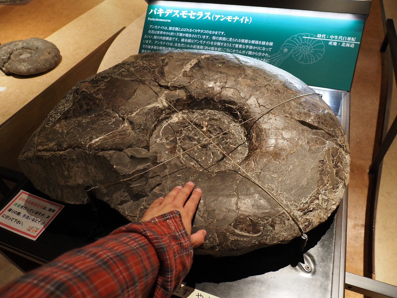 PA310246.jpg