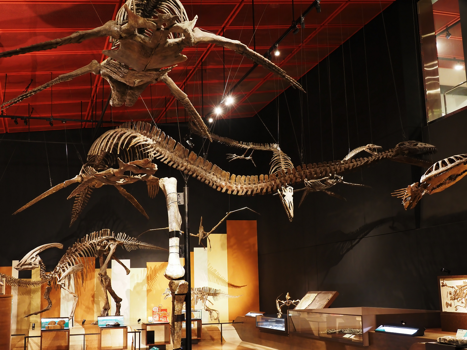 PA310247.jpg