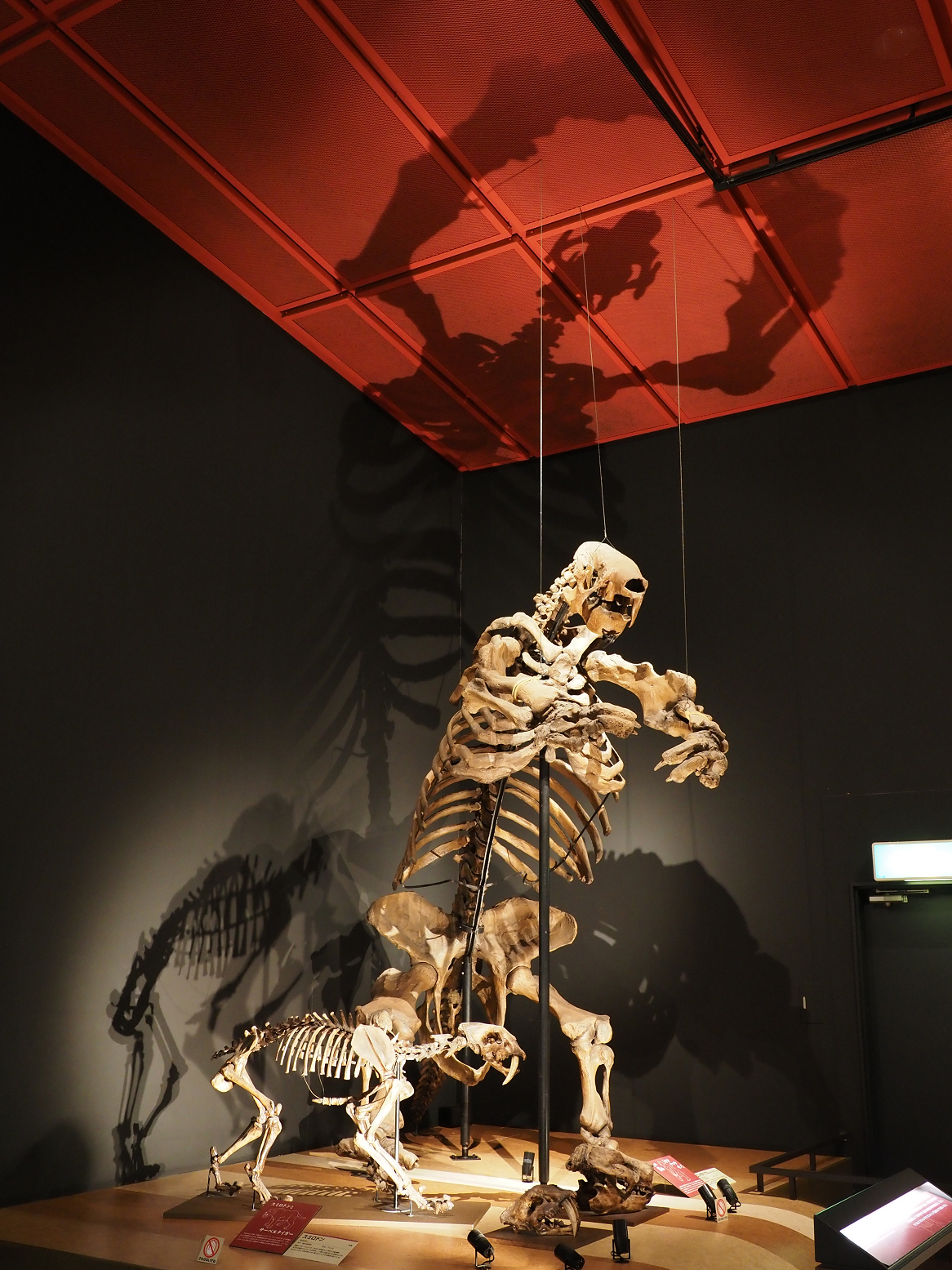 PA310249.jpg