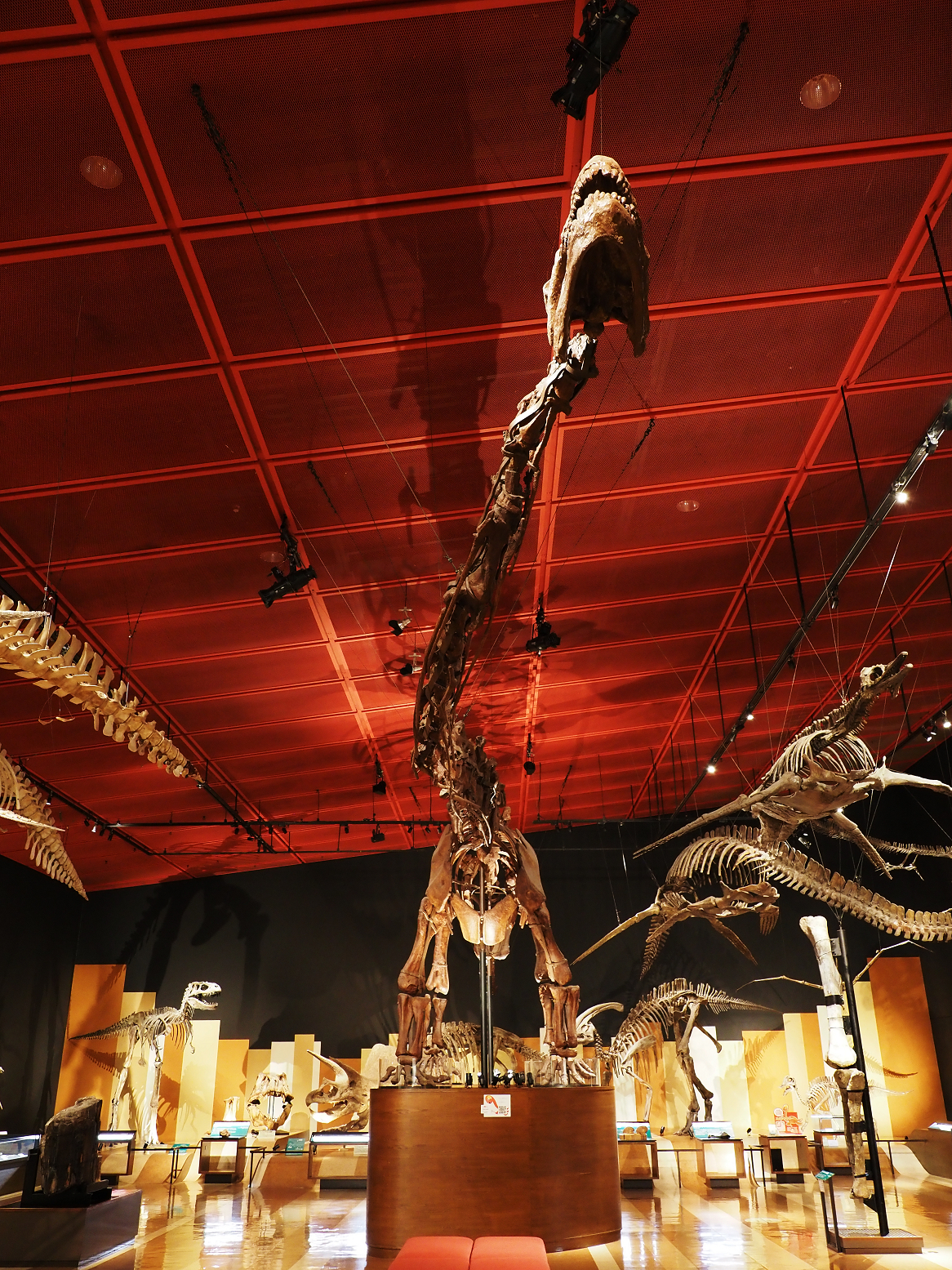 PA310250.jpg