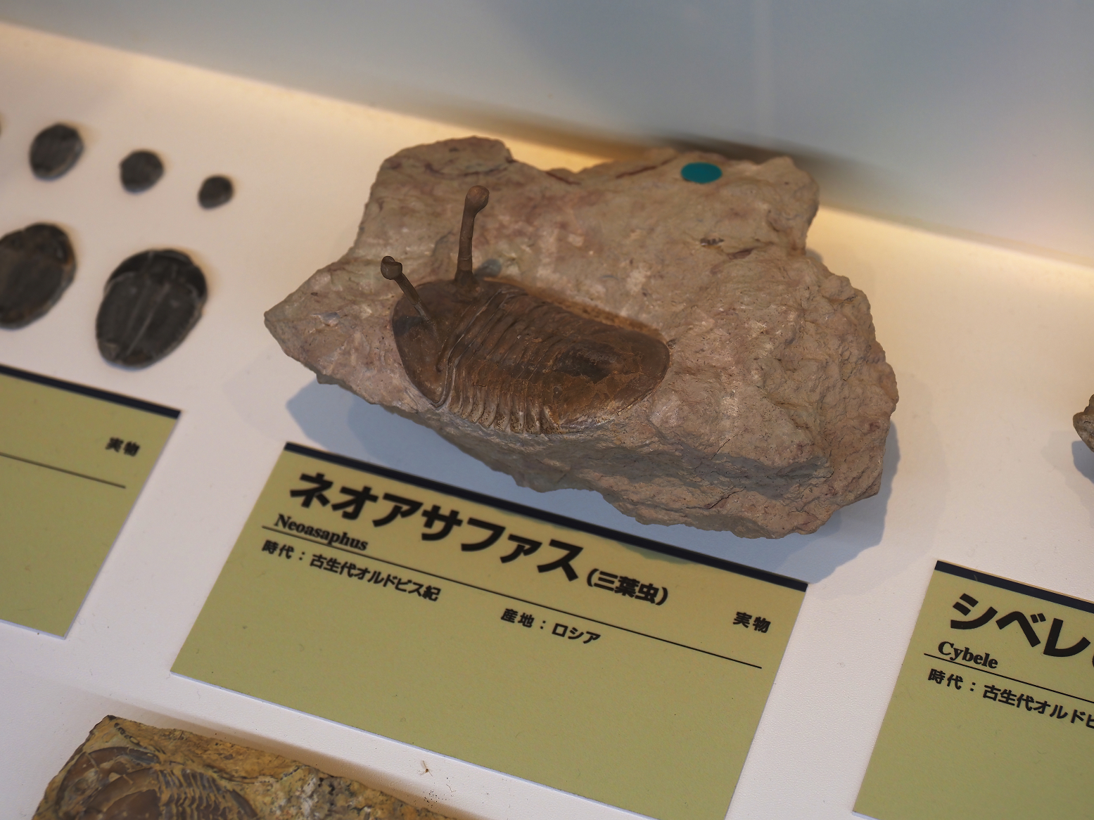 PA310254.jpg