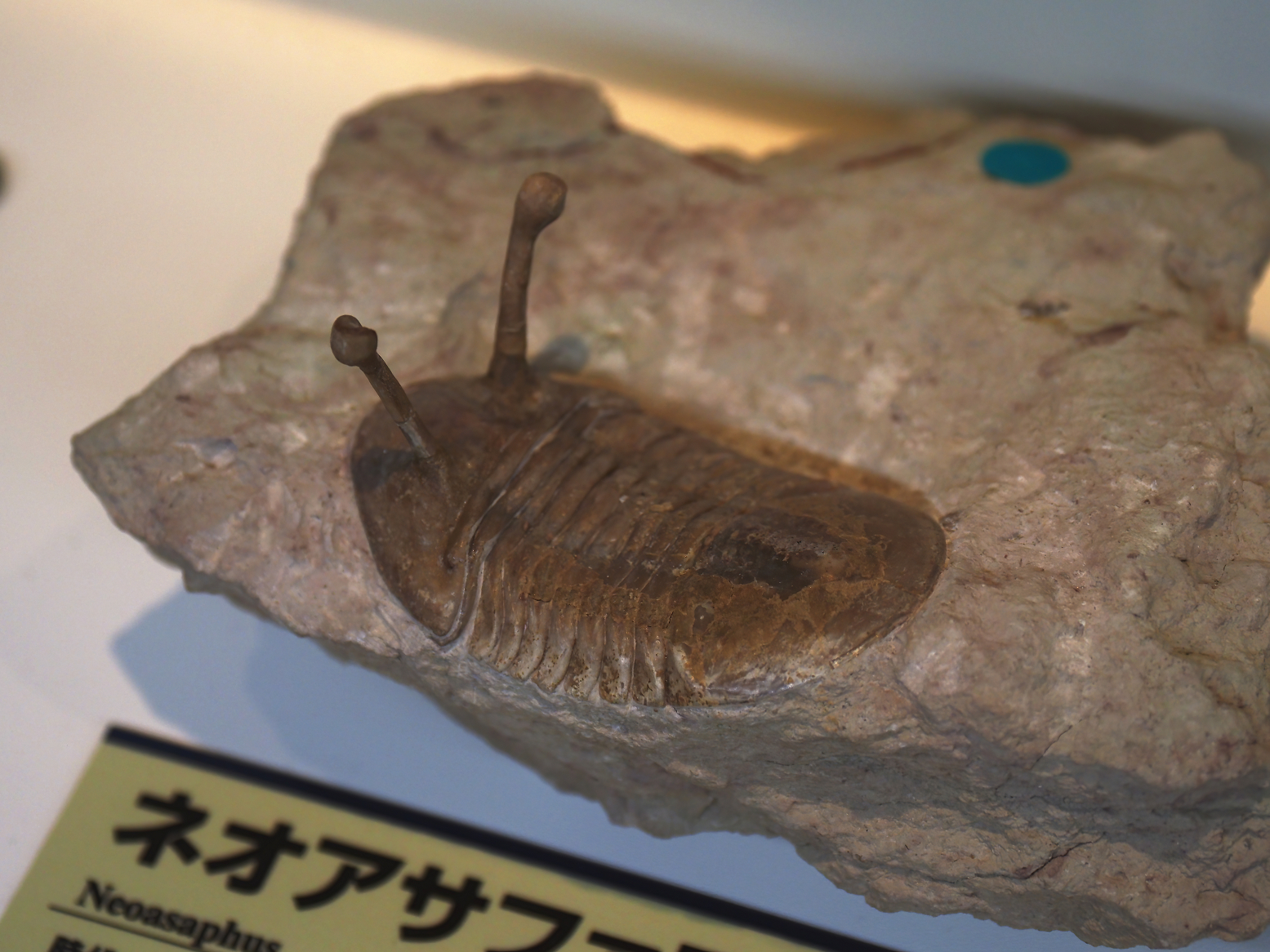 PA310255.jpg