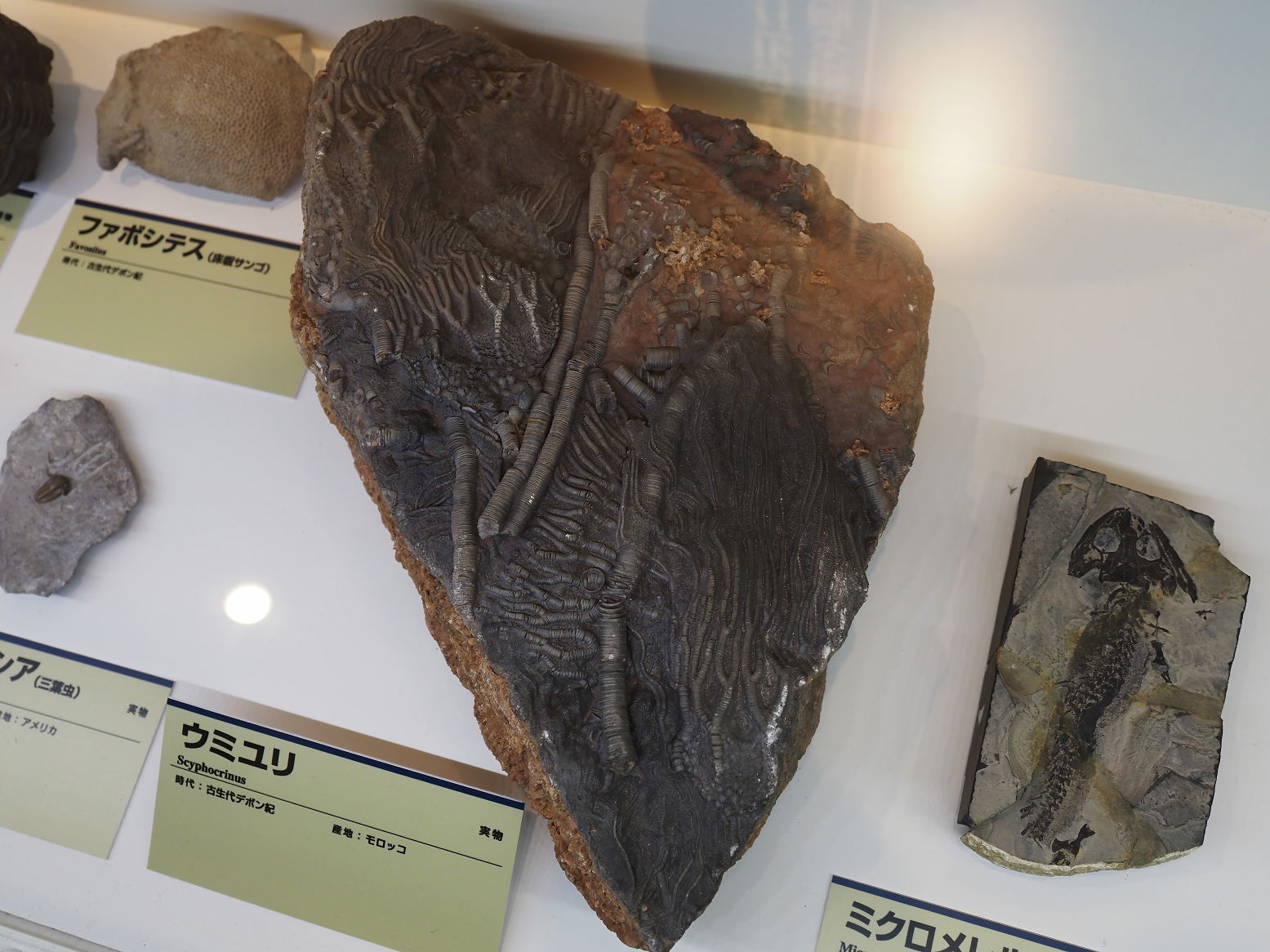 PA310256.jpg