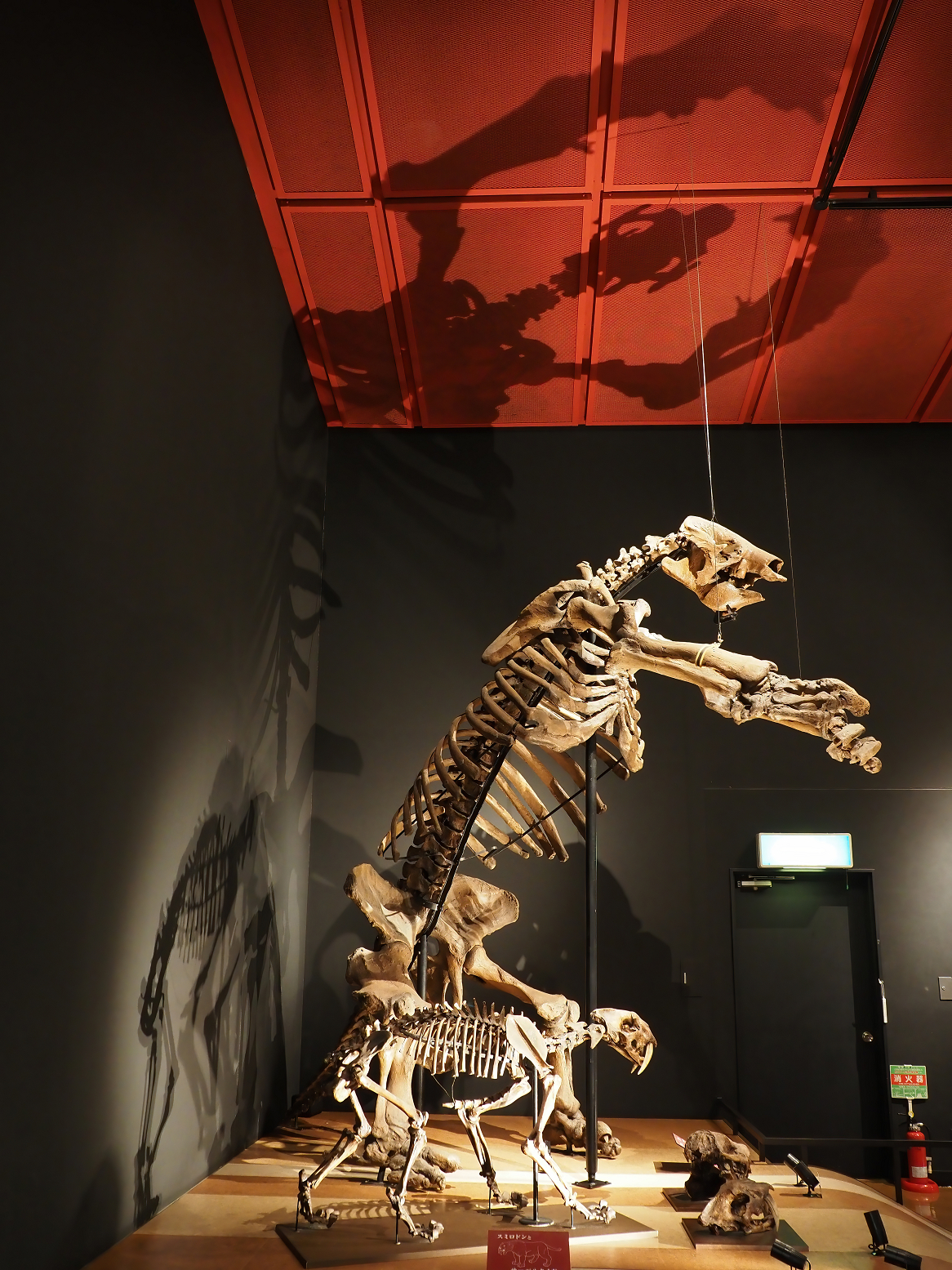 PA310259.jpg