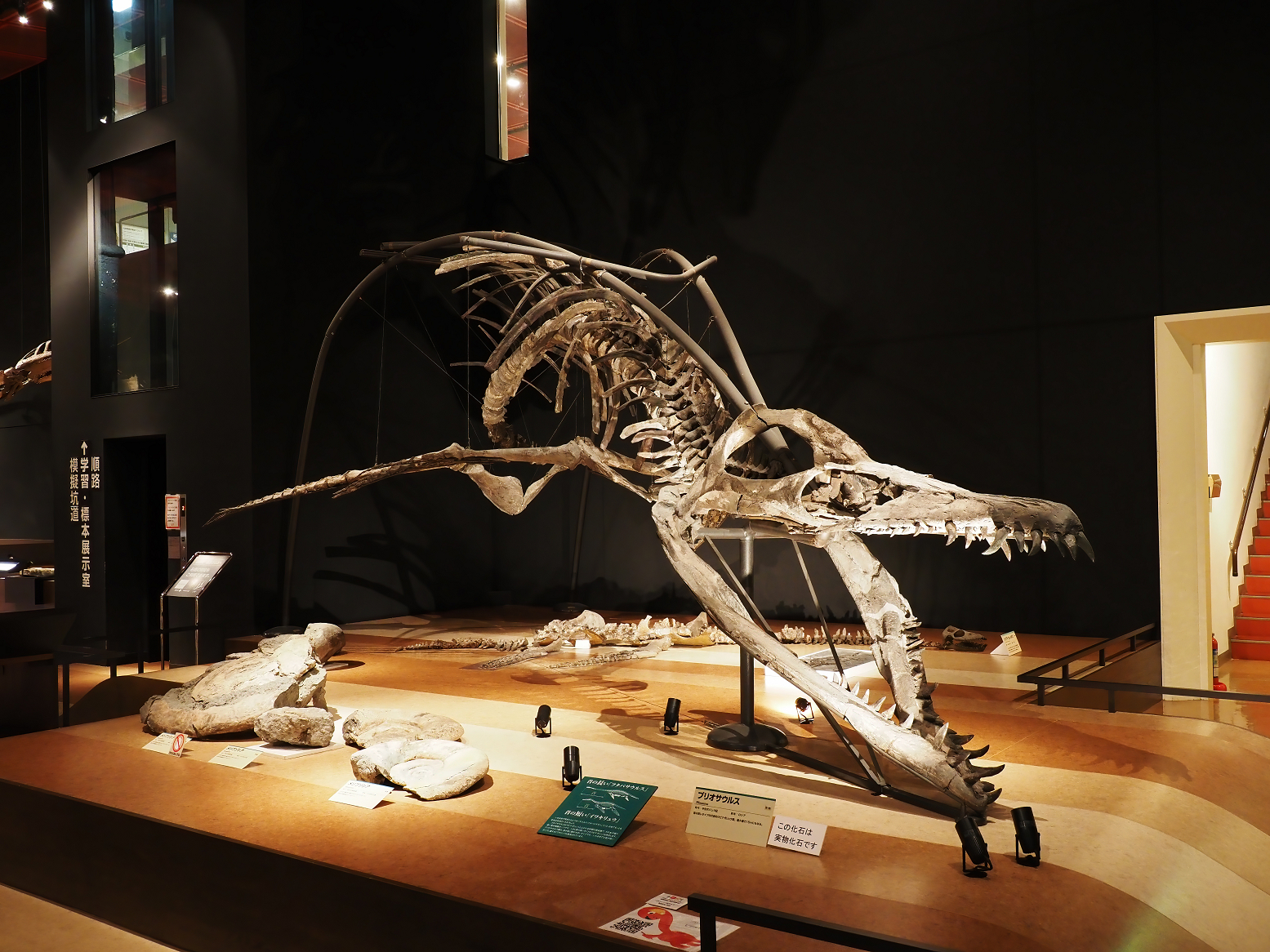 PA310260.jpg