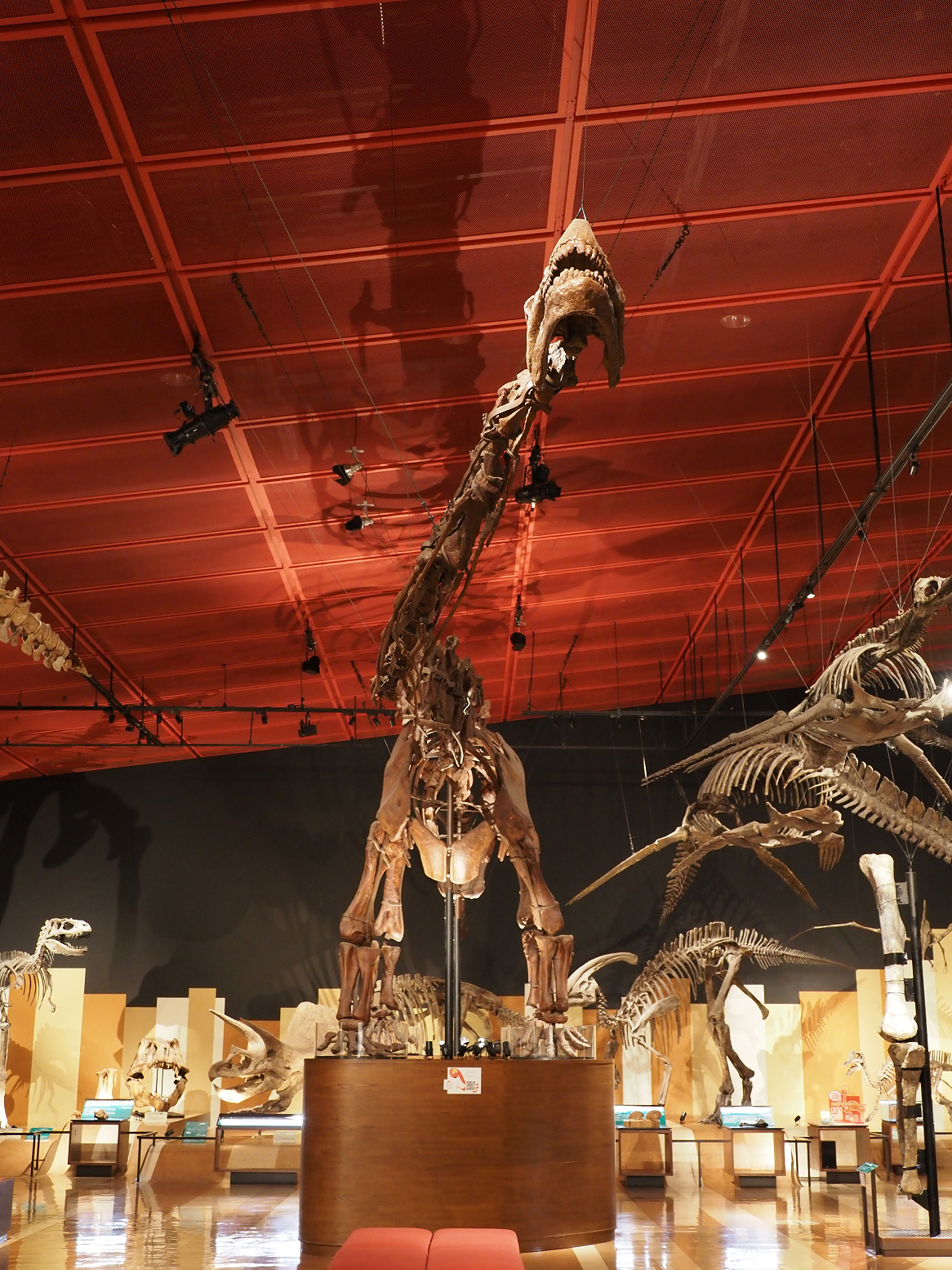 PA310261.jpg