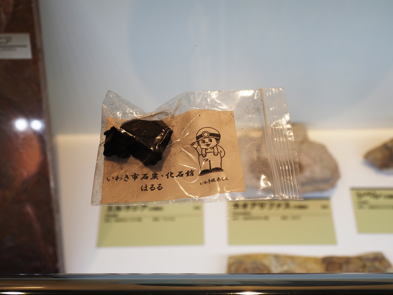 PA310262.jpg