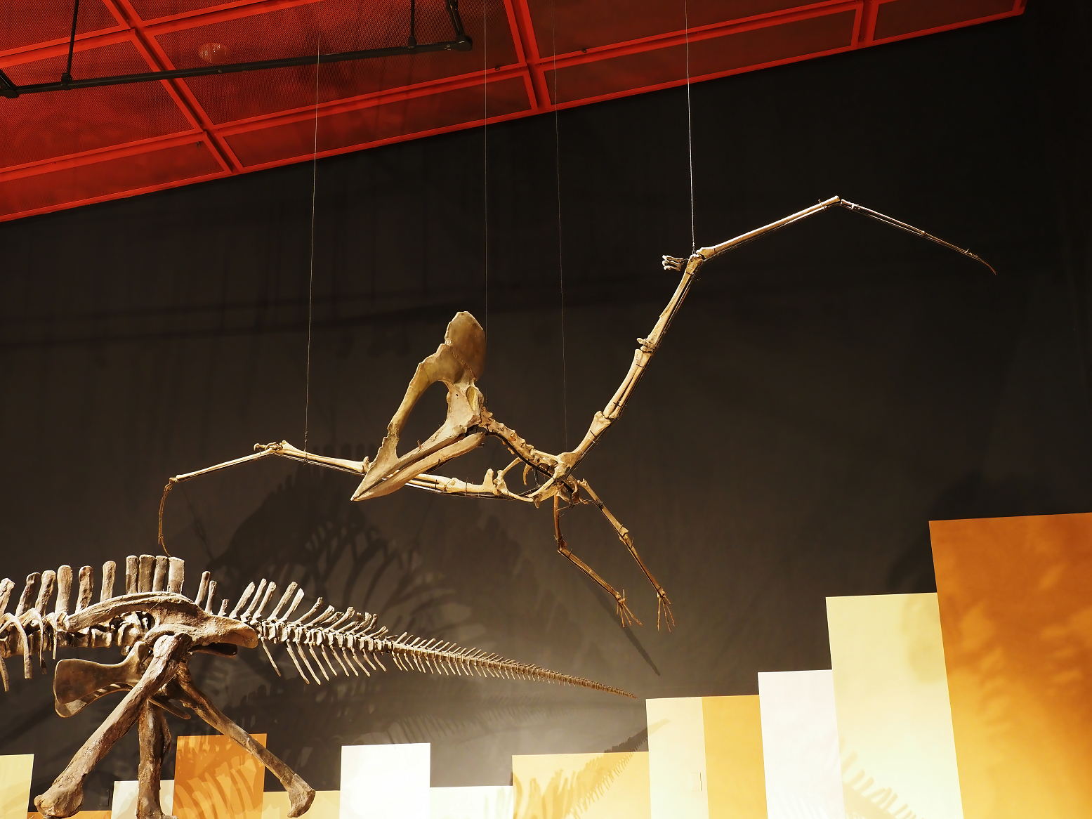 PA310265.jpg