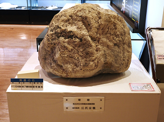 PA310266_thumb.png