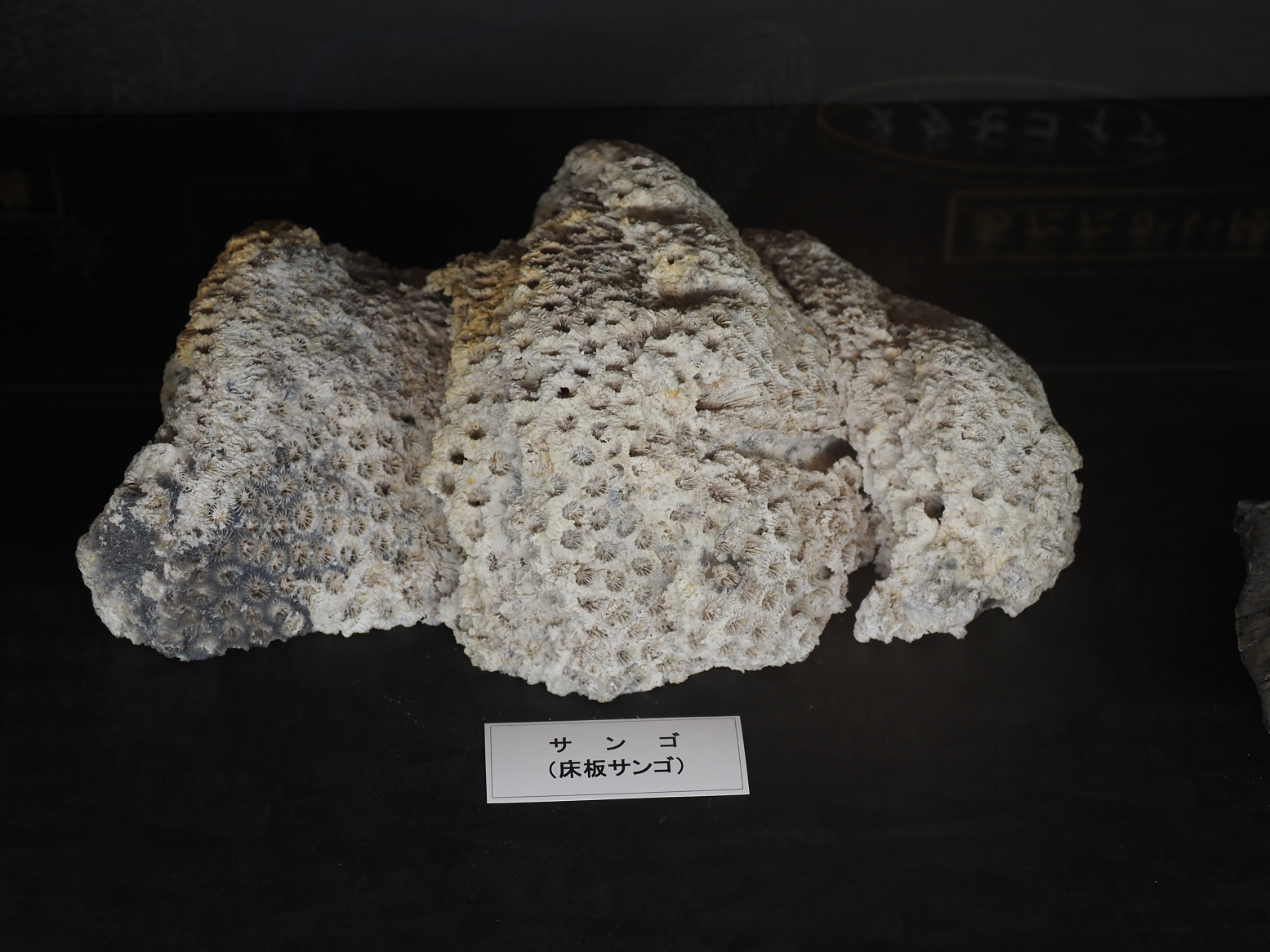 PA310269.jpg