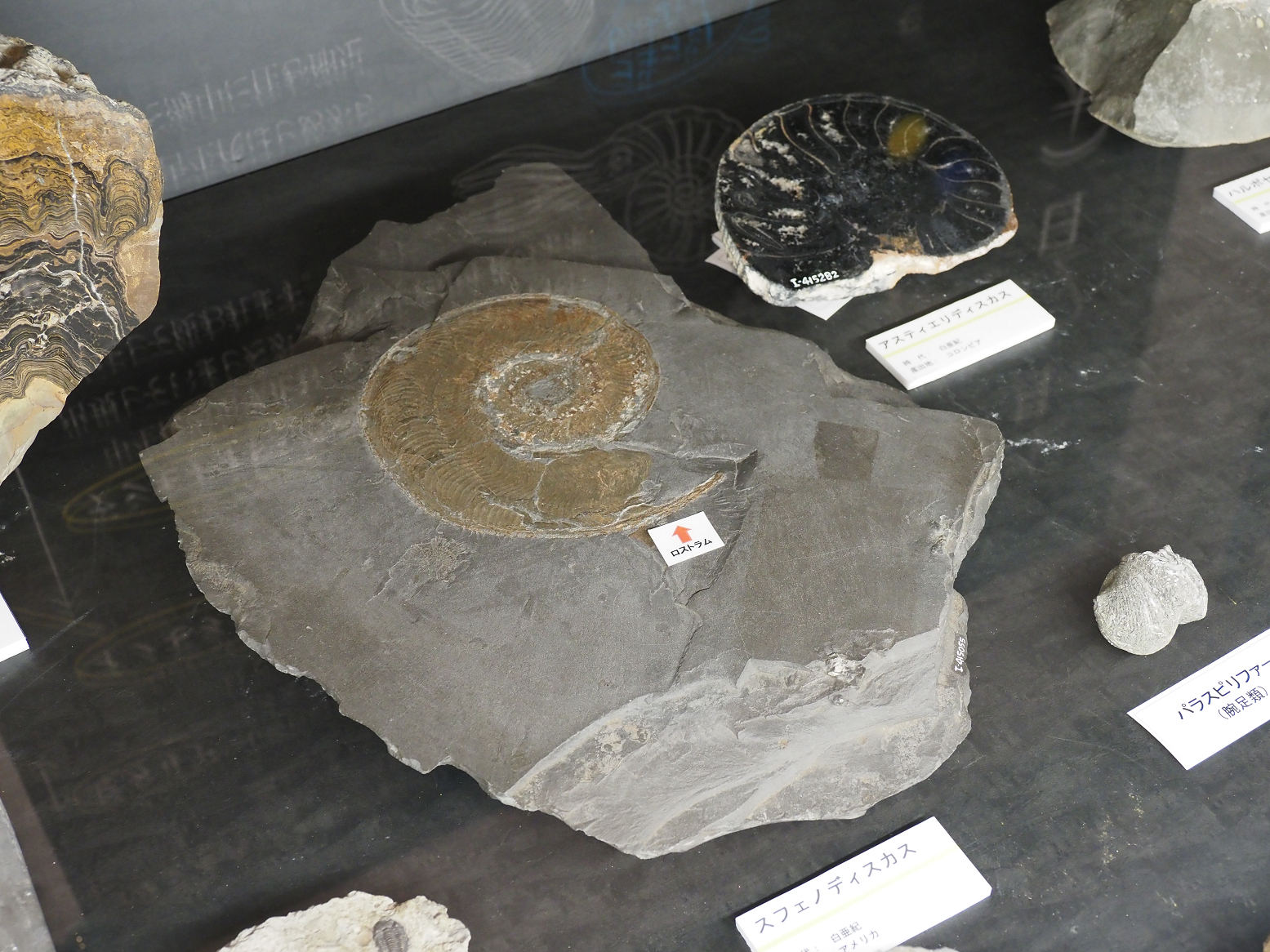 PA310271.jpg