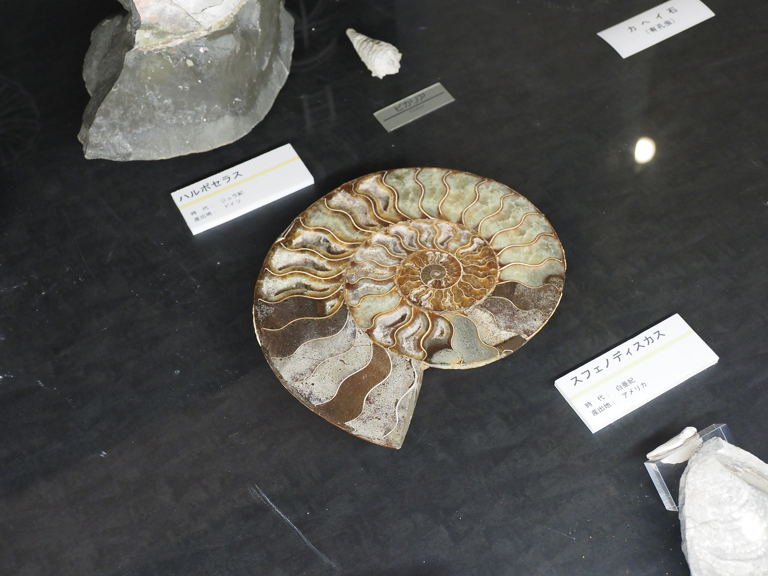 PA310272.jpg