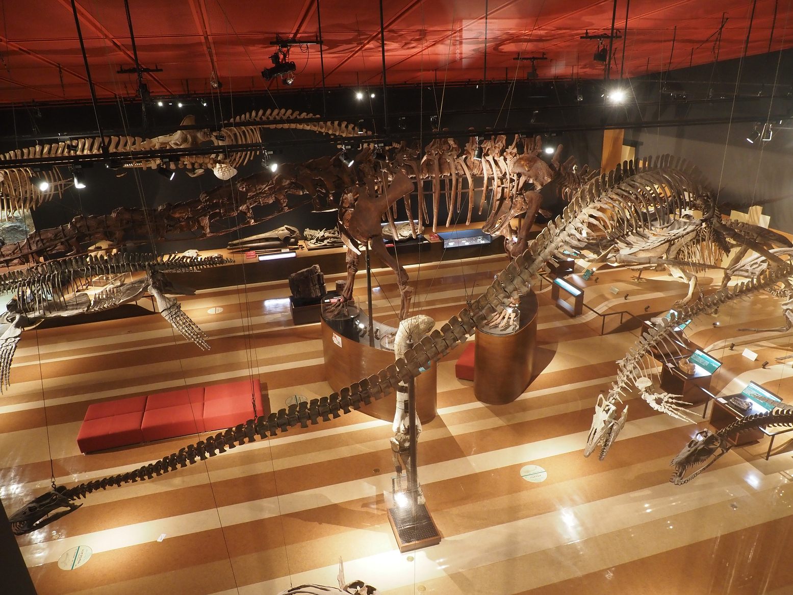 PA310274.jpg