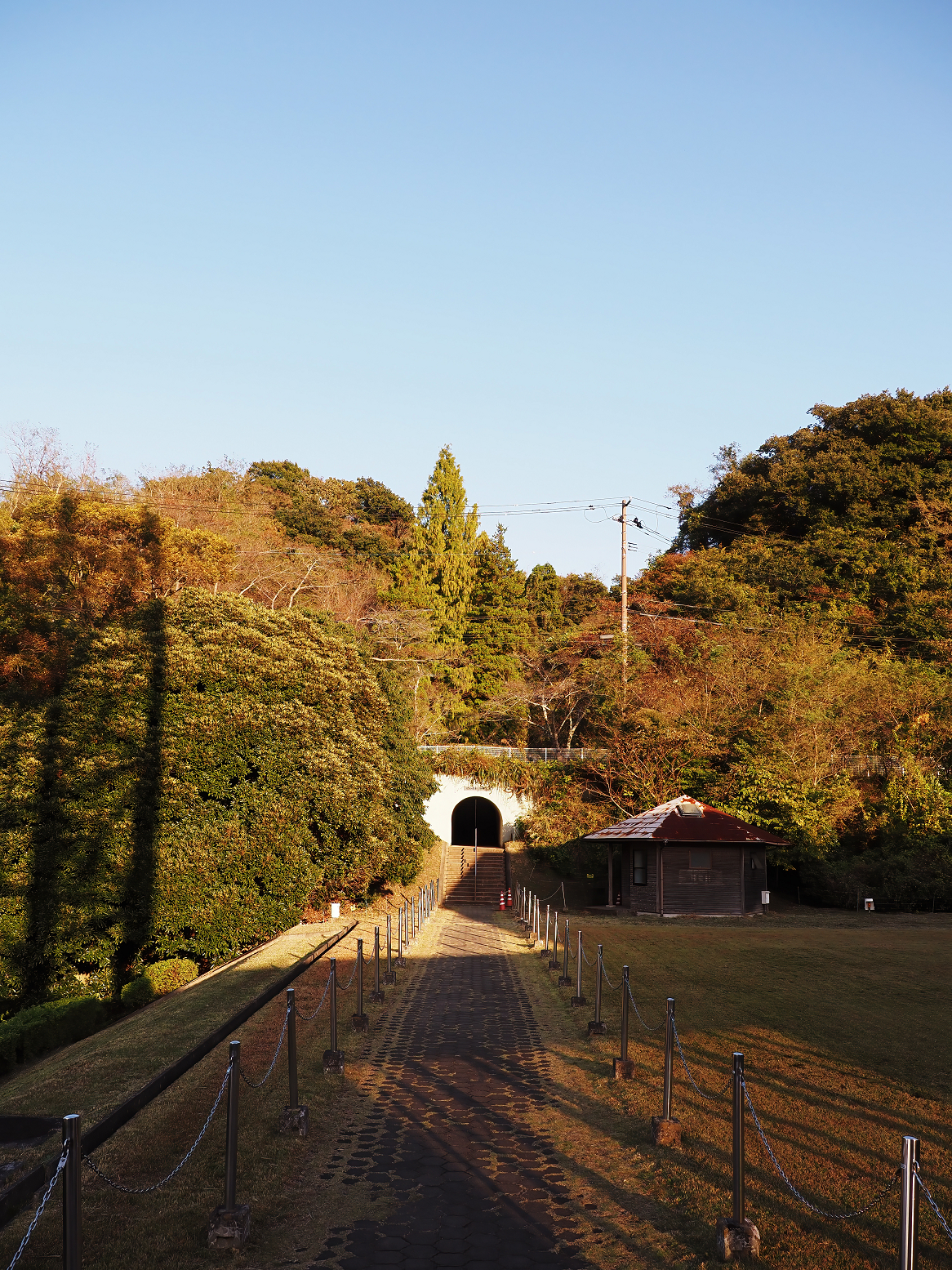 PA310278.jpg