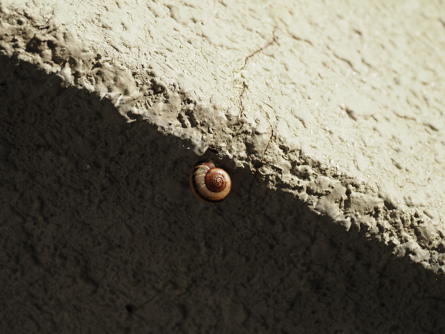PA310281.jpg