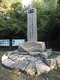 PA310282_thumb.png