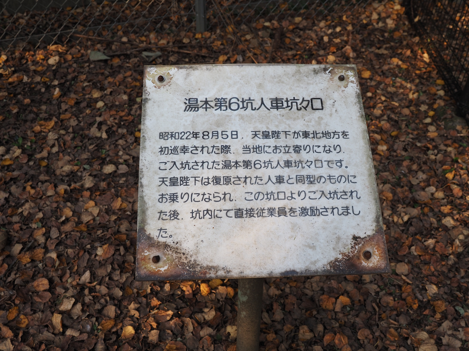 PA310283.jpg