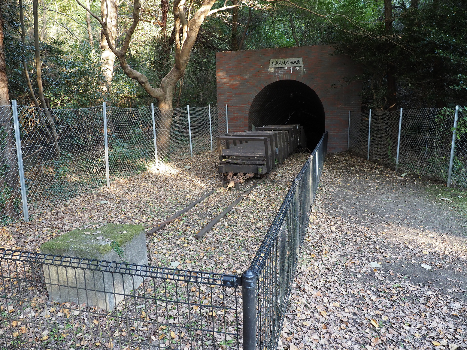 PA310284.jpg