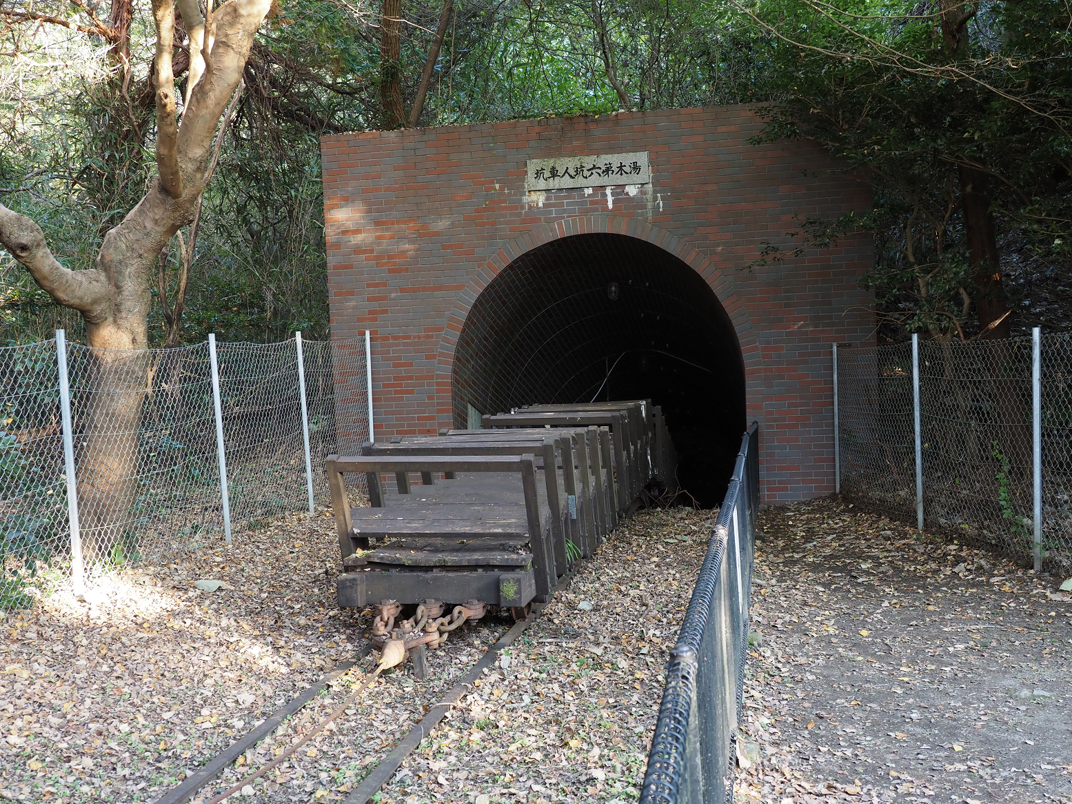 PA310285.jpg
