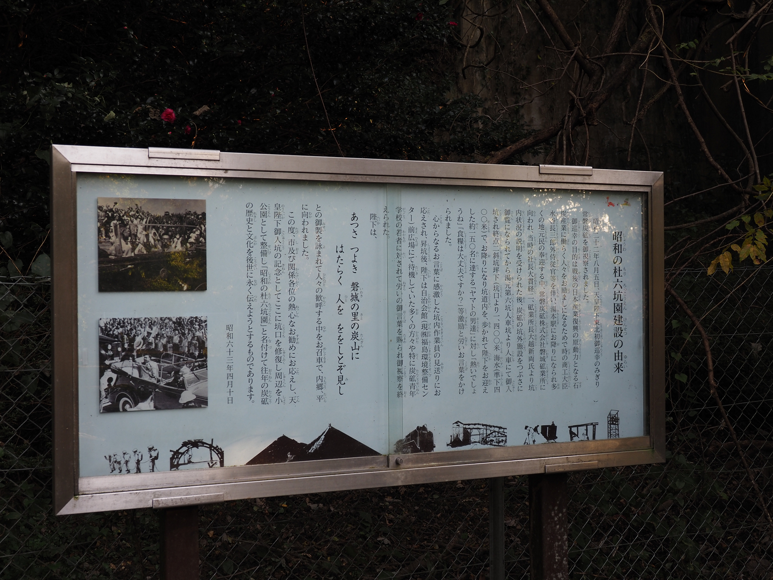 PA310288.jpg