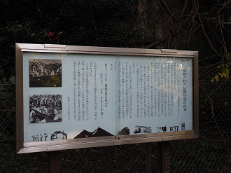 PA310288_thumb.png