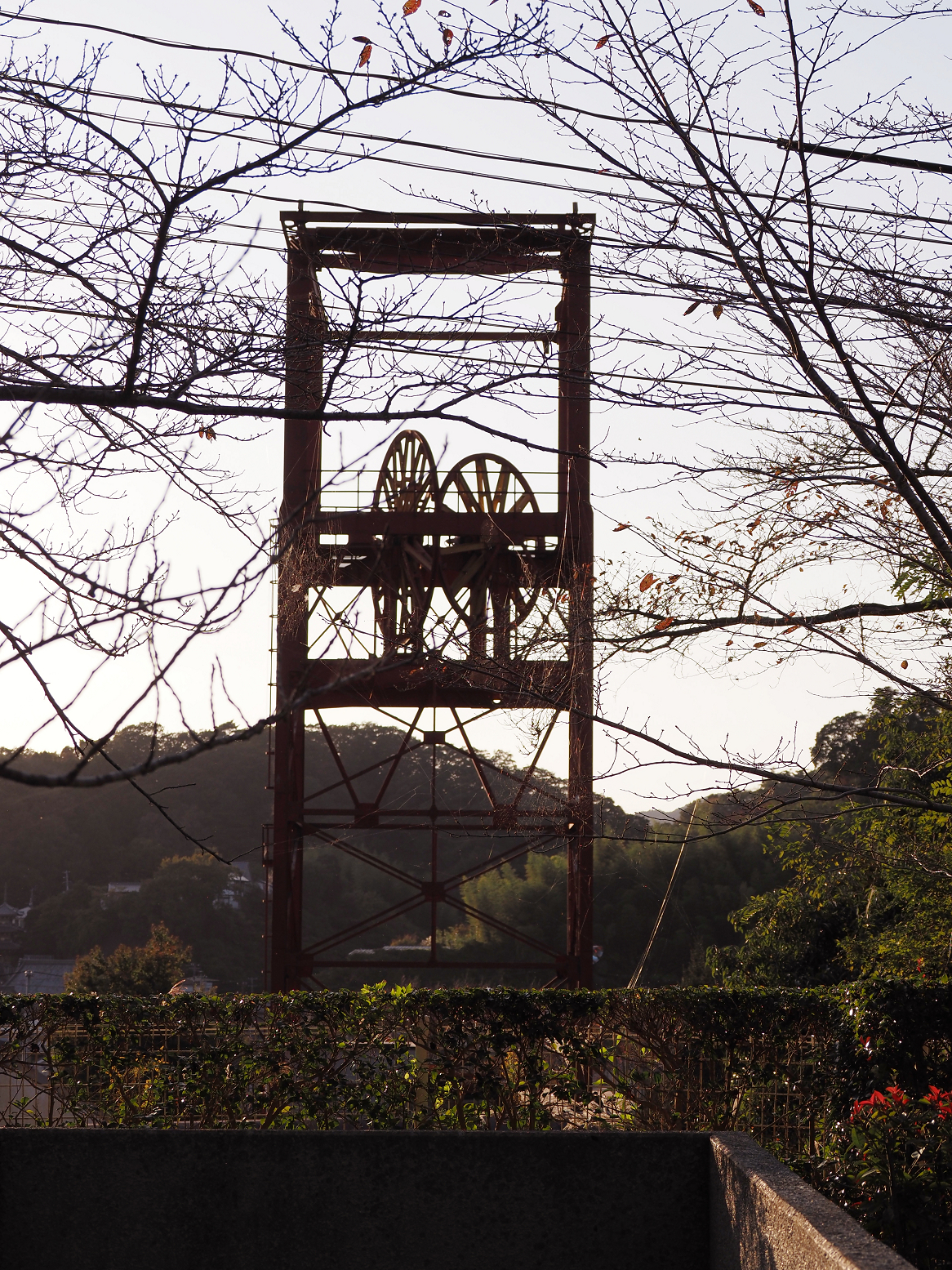 PA310289.jpg