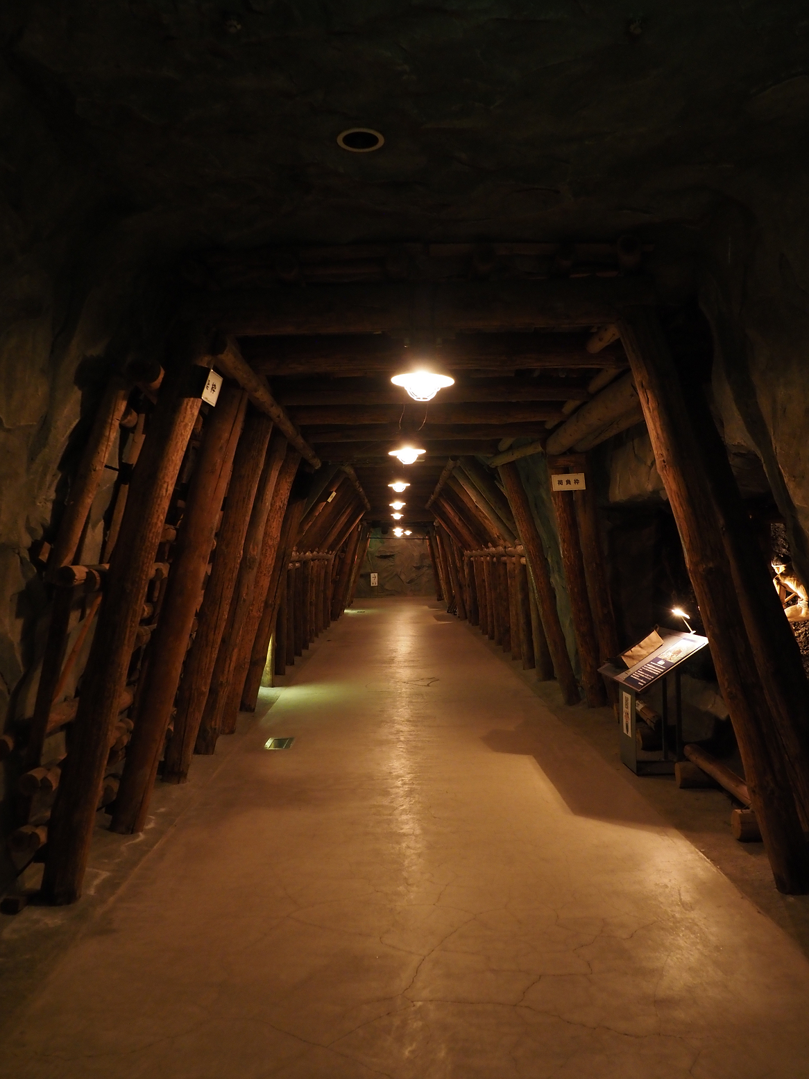 PA310304.jpg