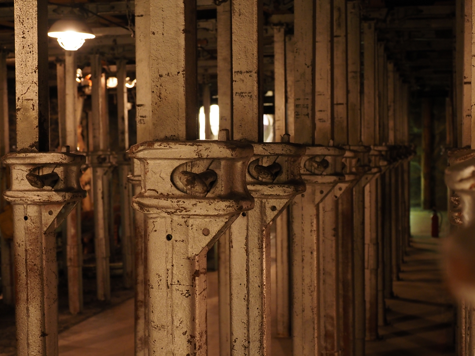 PA310328.jpg